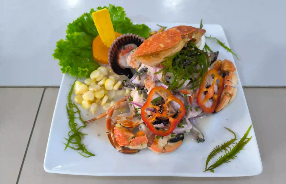 Ceviche el Puerto Escondido 02